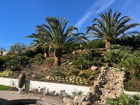 Hillside Tropical Oasis with Waterfall image