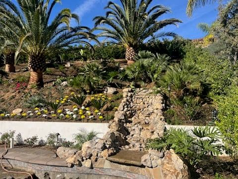 Gallery photos for Hillside Tropical Oasis with Waterfall: Image #2