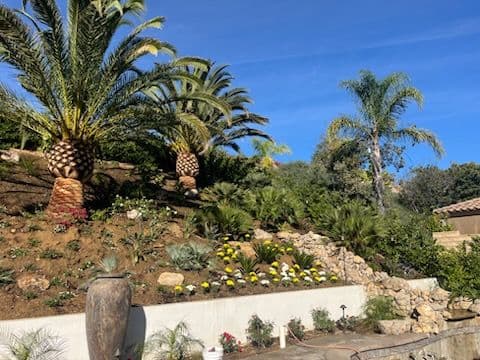 Gallery photos for Hillside Tropical Oasis with Waterfall: Image #3